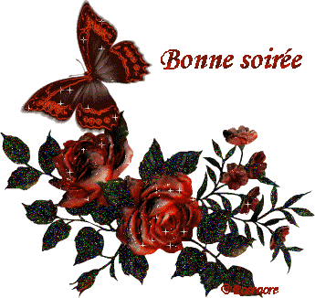 bonne soirée à toutes et tous !